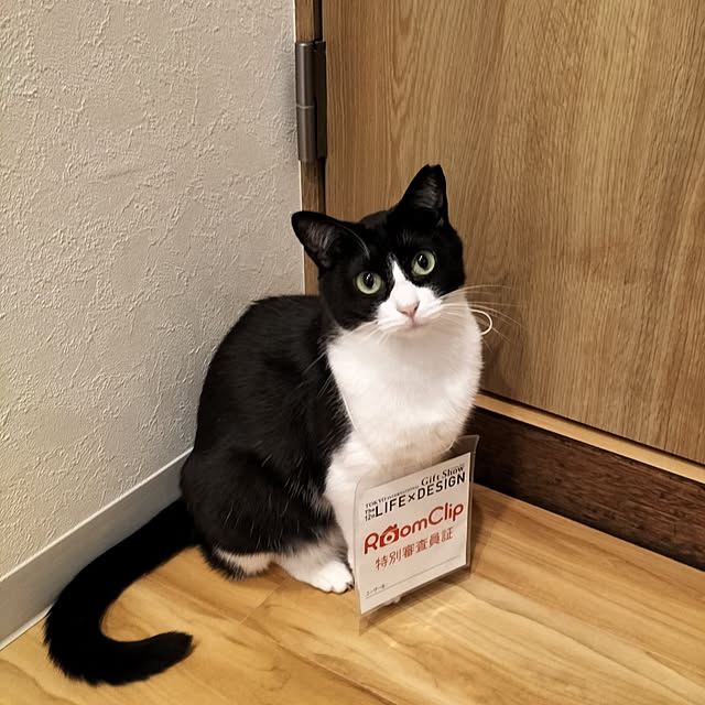 hihaさんの実例写真