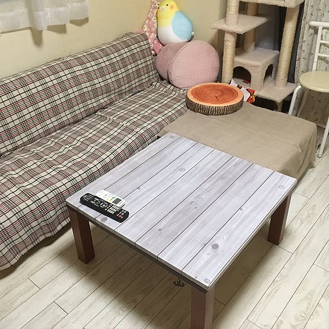 実例写真