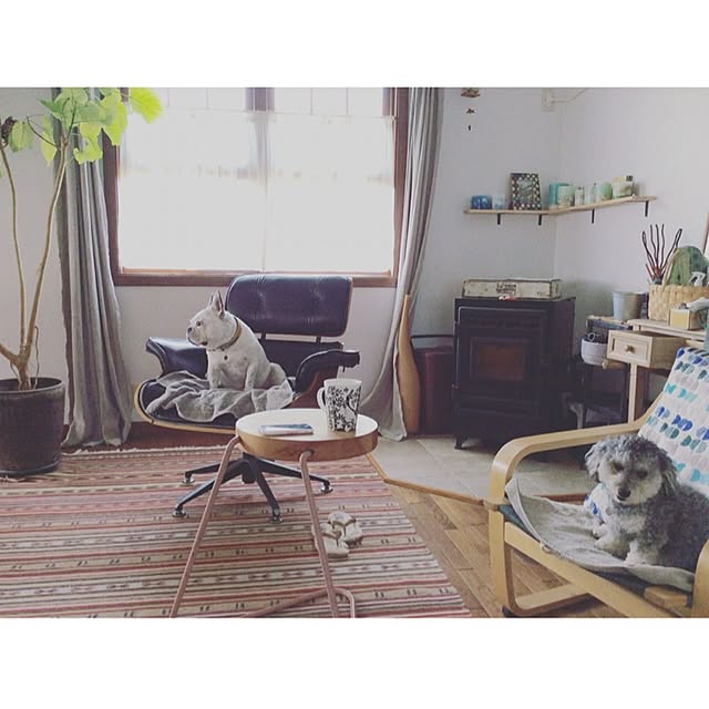 実例写真