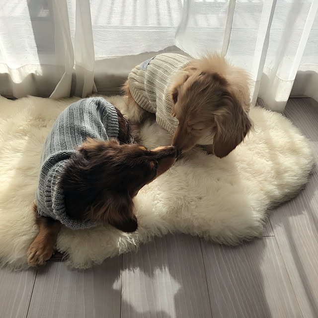 MKさんの実例写真