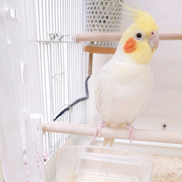 fleur-mamanさんの部屋