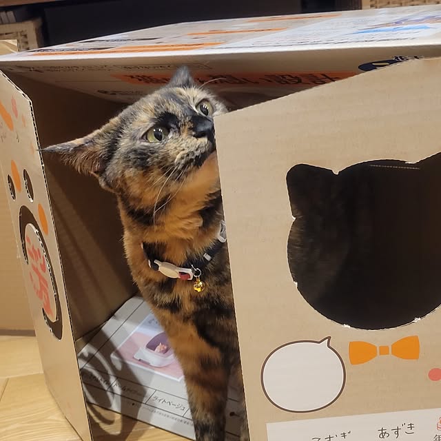 natuさんの部屋