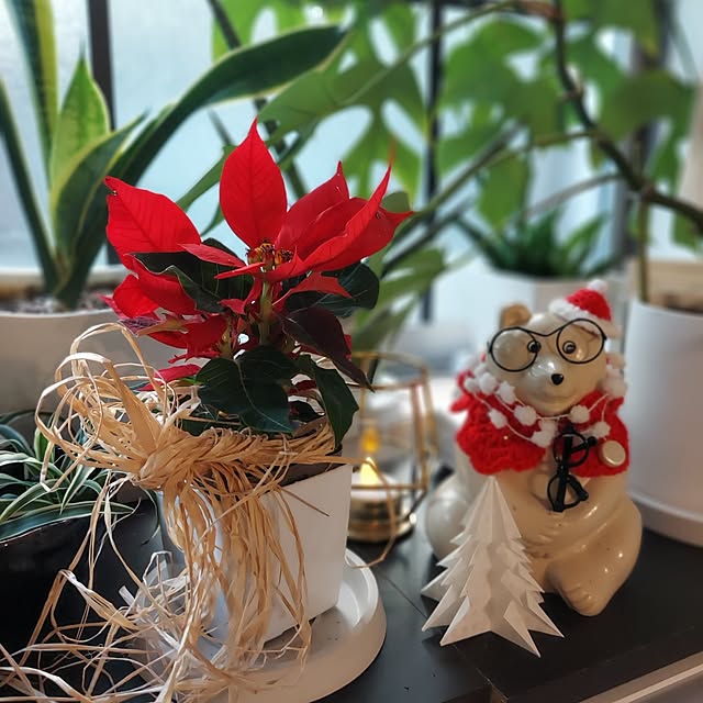 makkyさんの実例写真