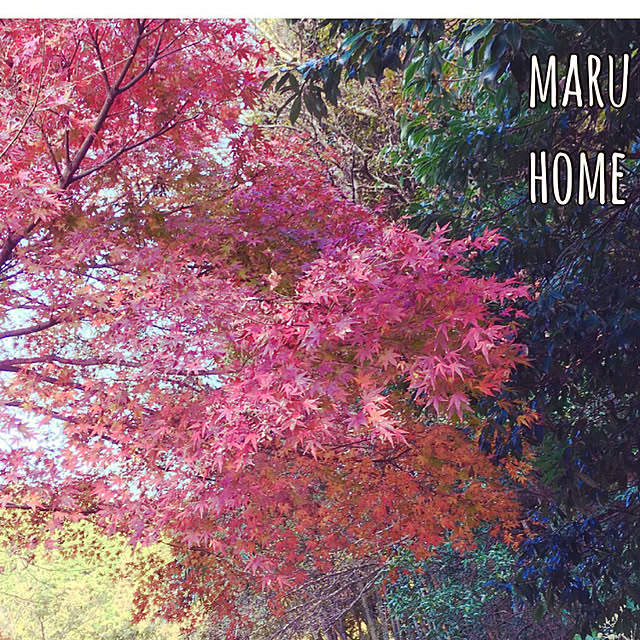 maruさんの実例写真
