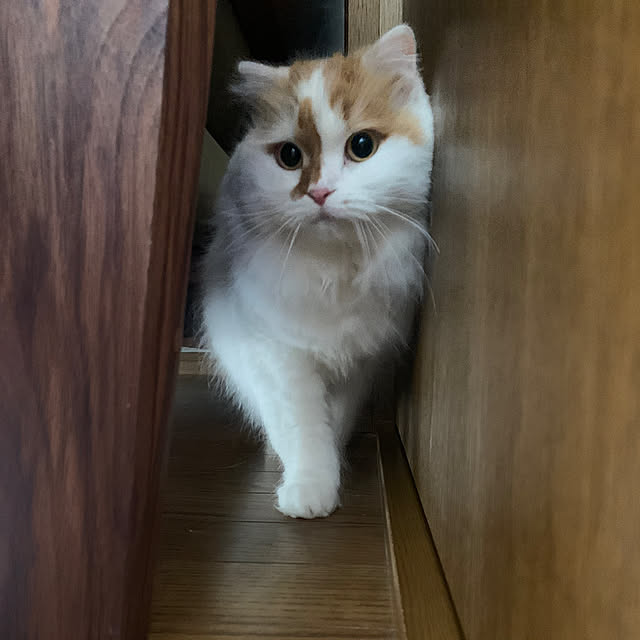 keiさんの実例写真