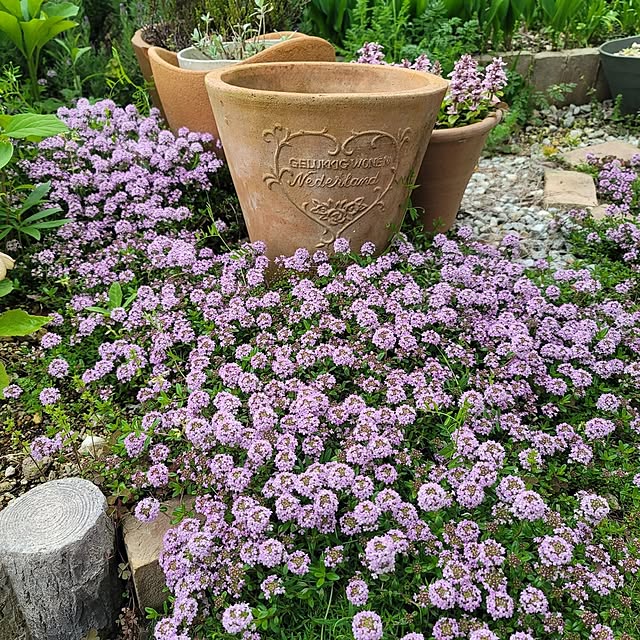 VIORAさんの実例写真