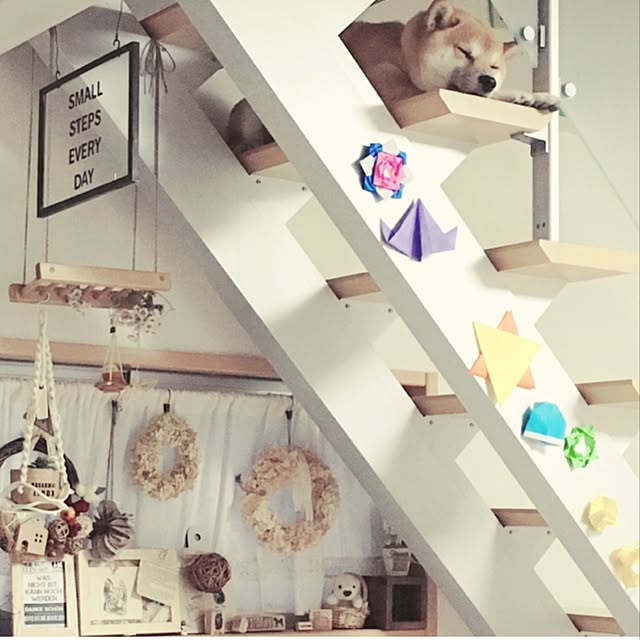 kotaさんの実例写真