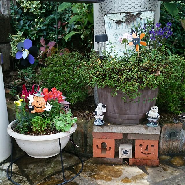 実例写真