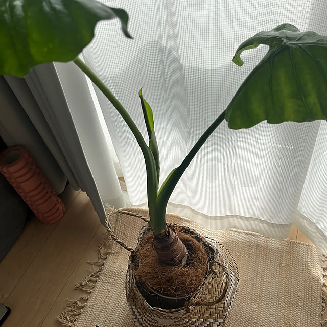 tyuさんの実例写真