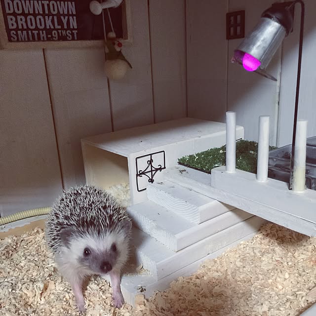RURULOVEさんの実例写真