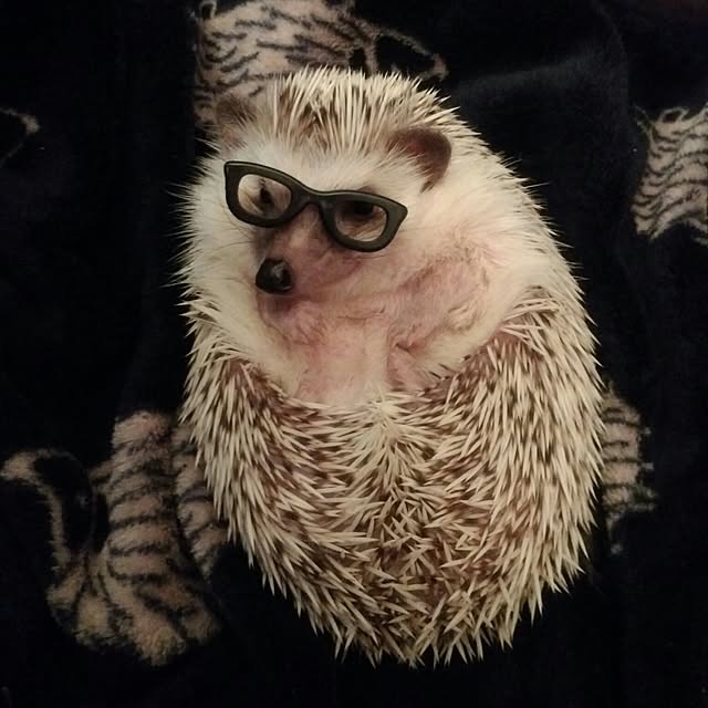 tomominさんの実例写真