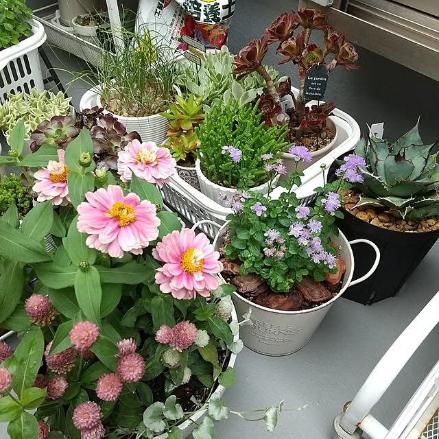 meiさんの部屋