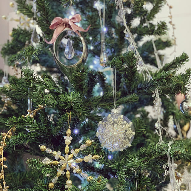クリスマス/リビングのインテリア実例 - 2020-11-22 15:51:59