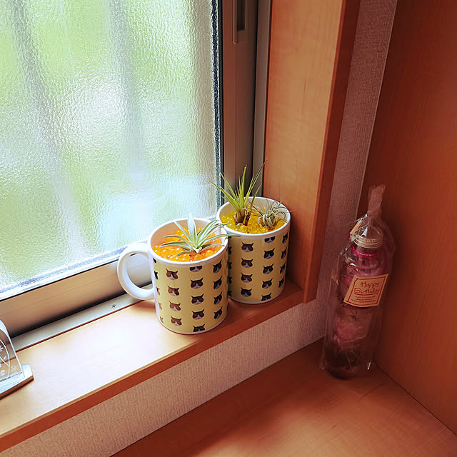 noguriさんの実例写真