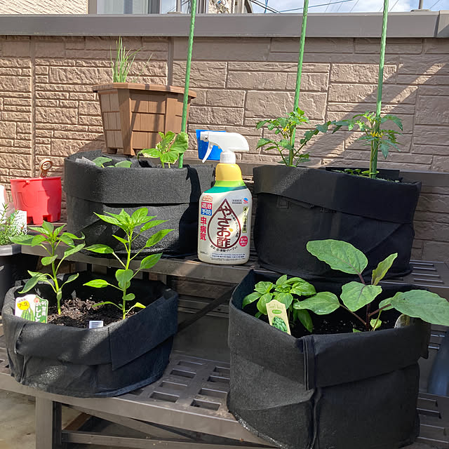 Omachanさんの部屋