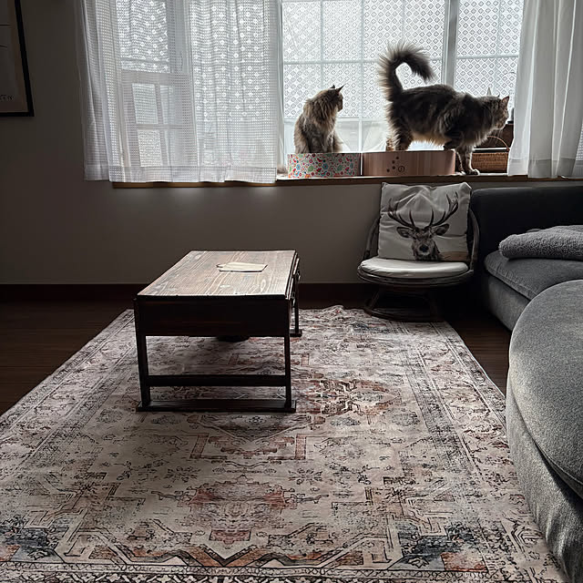 mayumiさんの部屋