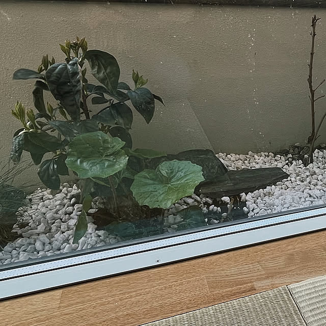 yaさんの部屋