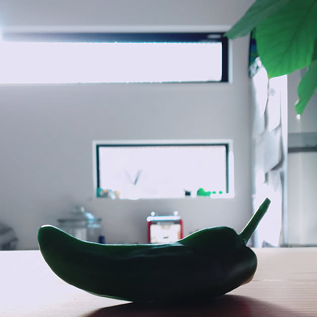 家庭菜園の収穫/キッチンのインテリア実例 - 2019-09-07 09:01:44