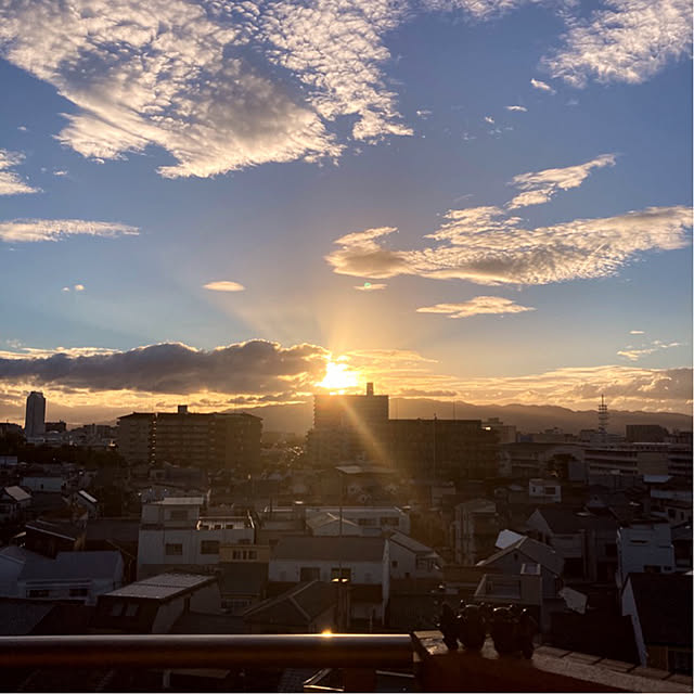 simple_blowbackさんの実例写真