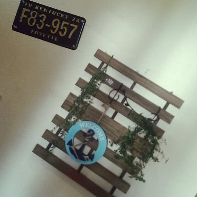 yukidarumanさんの実例写真