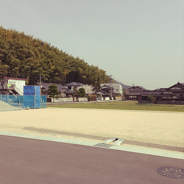 実例写真
