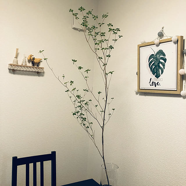 palsuさんの実例写真