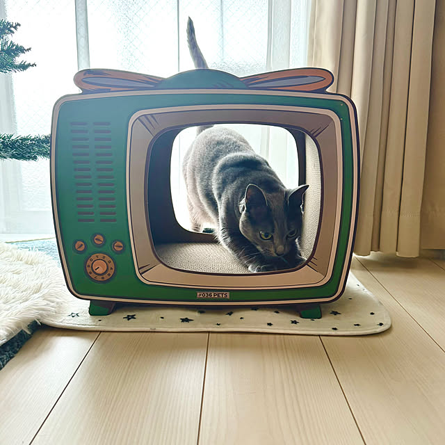 snoopyさんの部屋