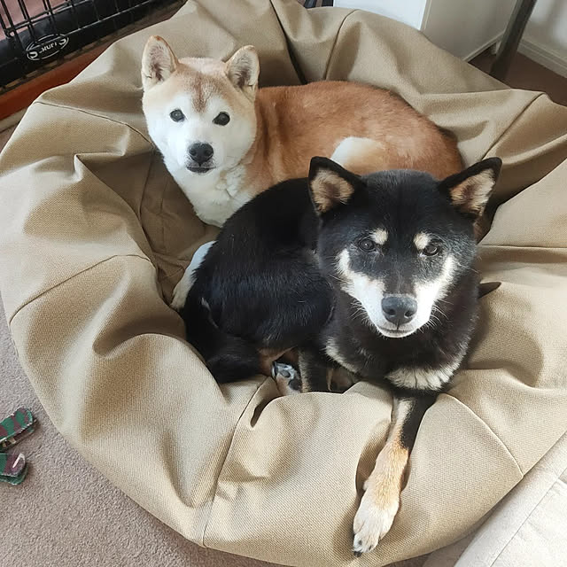 ponhanaさんの実例写真