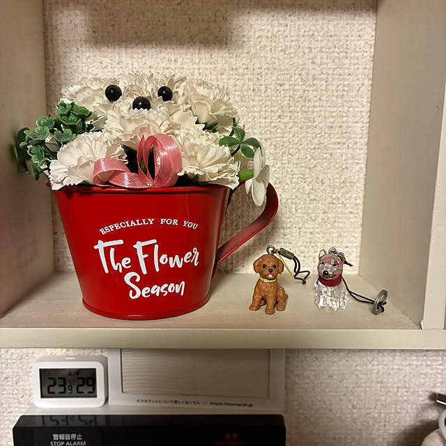 sundayさんの部屋