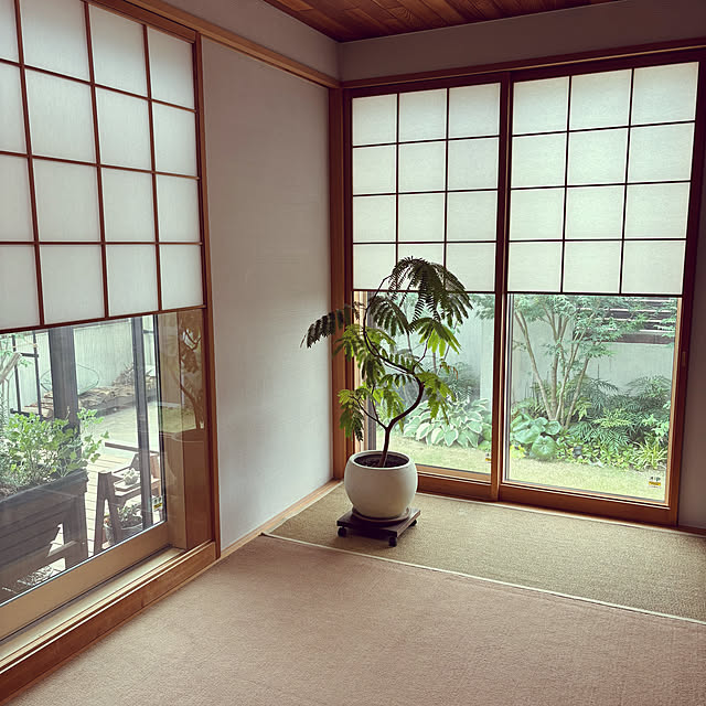maimai0110さんの部屋