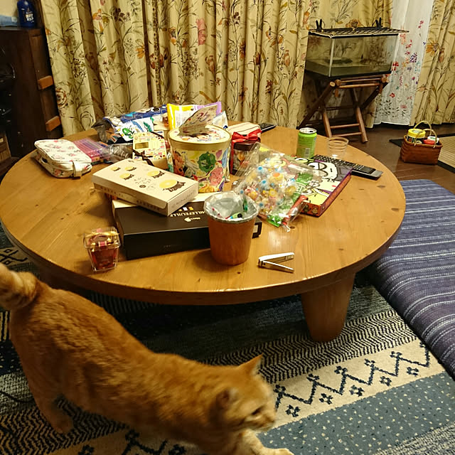 okyosan101さんの実例写真