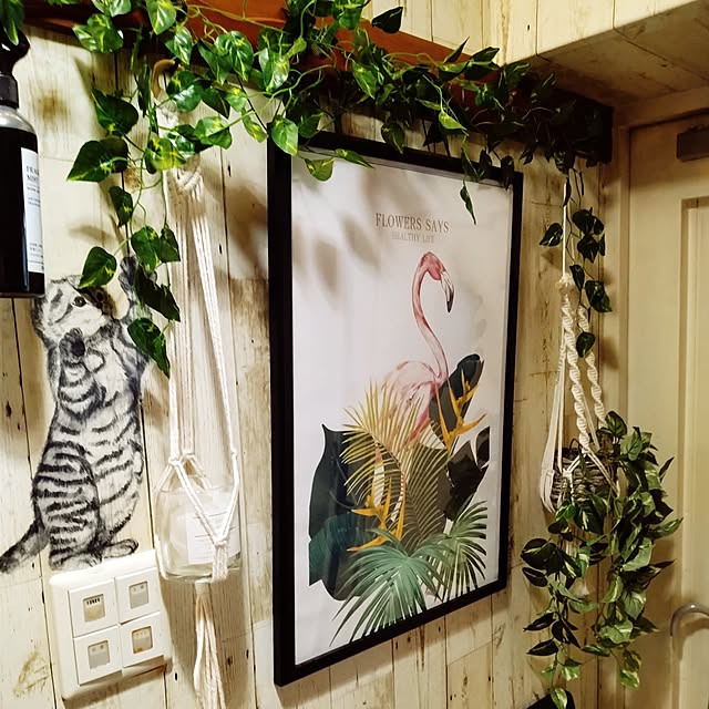 runaさんの実例写真