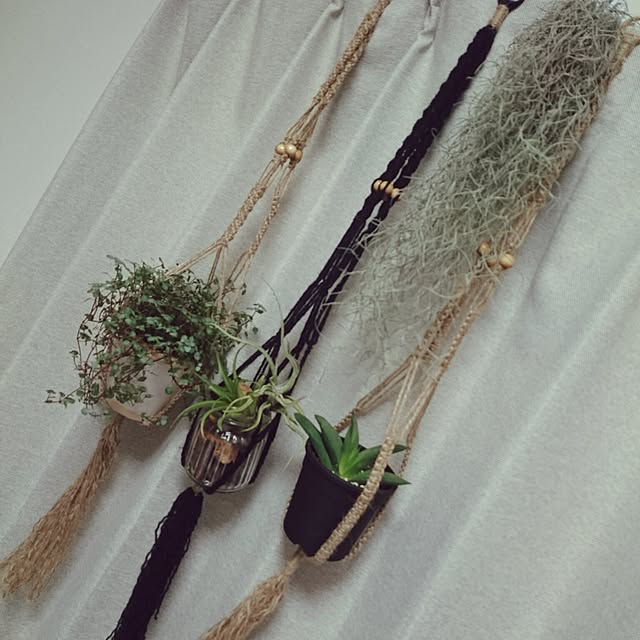 壁/天井/多肉植物/ハンドメイド/ガーデニング/秋の夜長に...などのインテリア実例 - 2015-11-08 21:56:57