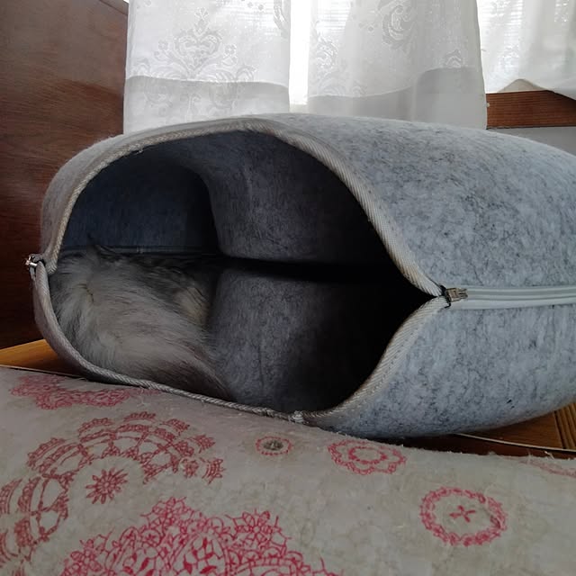 makaronさんの実例写真