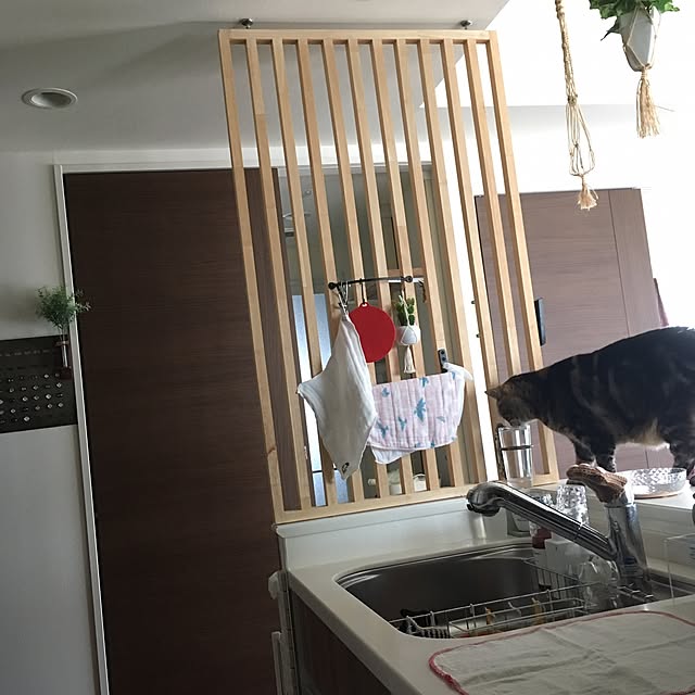 mikomaruさんの実例写真