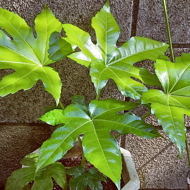 hiro-yさんの部屋