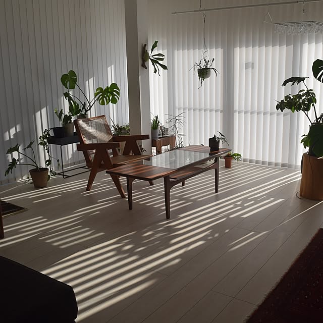 ookuraさんの実例写真