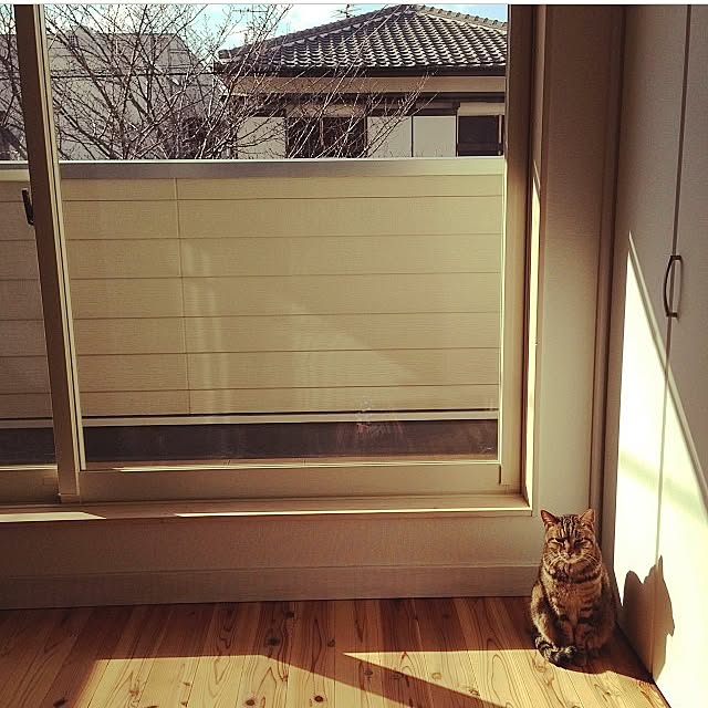 kerakoさんの実例写真
