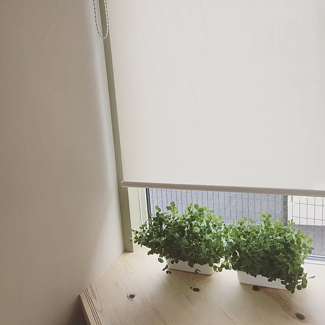 kanata_さんの実例写真