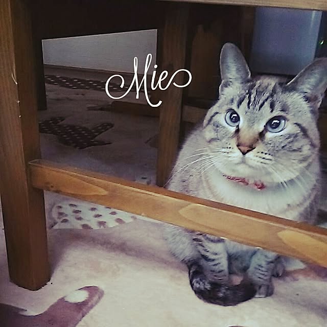 catriene0123さんの実例写真