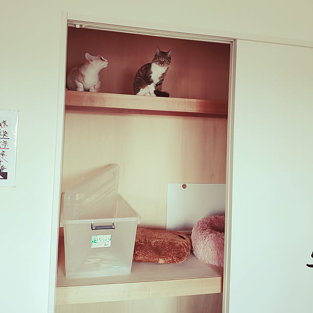 Ai_Mさんの実例写真