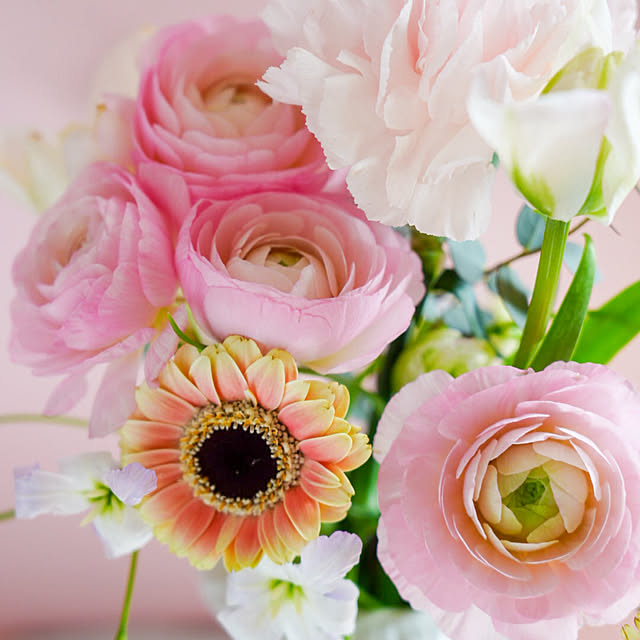 haruisabelさんの部屋