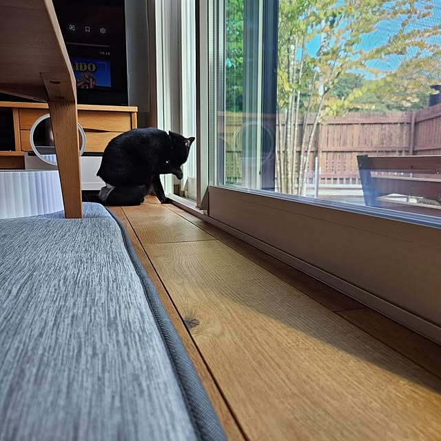 koyurizuさんの部屋