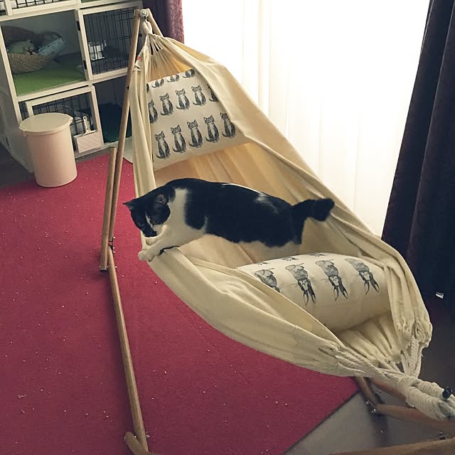 mikomaruさんの実例写真