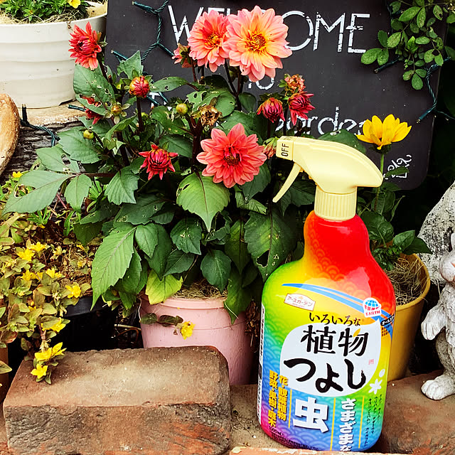 taeさんの部屋