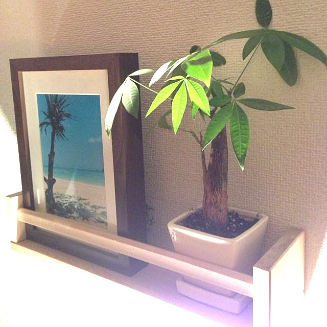 y.kさんの実例写真