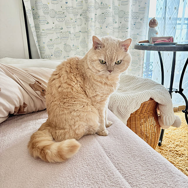 naokoさんの部屋