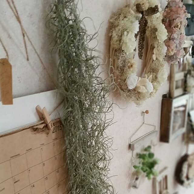 hitomiさんの実例写真
