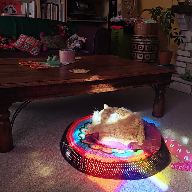 nekohigeさんの実例写真
