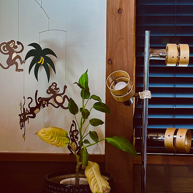 chacoさんの部屋
